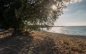 Alexandros Luxury House